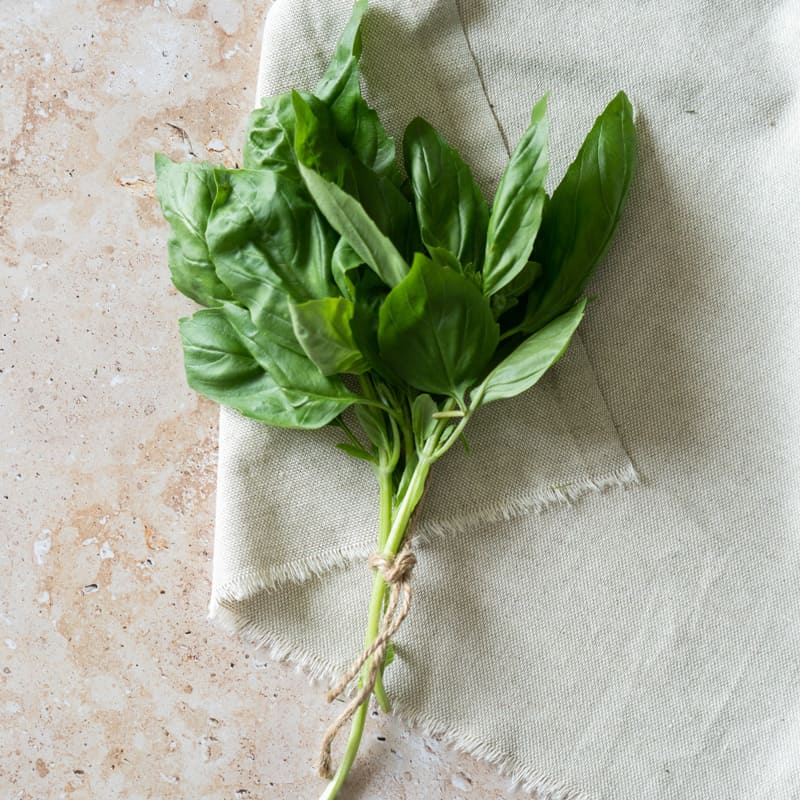 Basilico