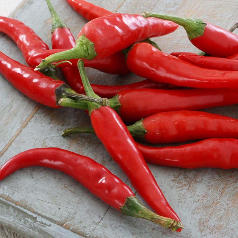 Cayenne rosso