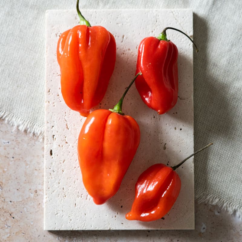 Habanero