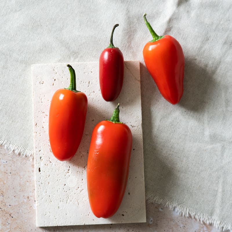 Jalapeno rosso