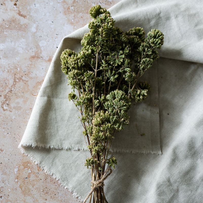Origano secco